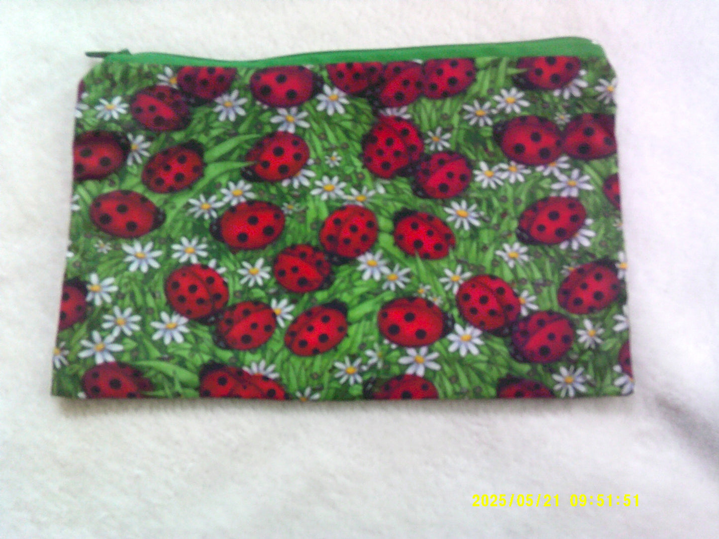 Zipper pouch, Ladybirds & daisies